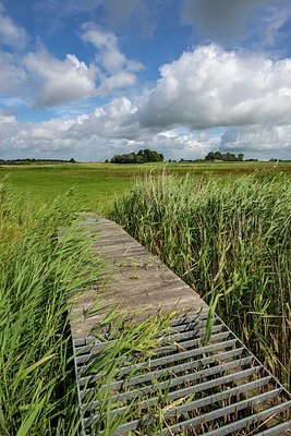 BUITEN BEELD Foto: 340794