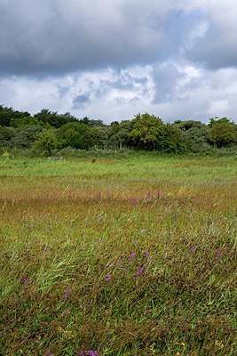 BUITEN BEELD Foto: 340799