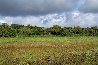 BUITEN BEELD Foto: 340800