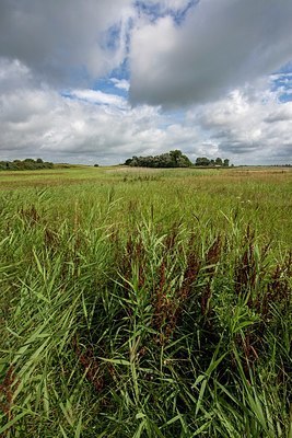 BUITEN BEELD Foto: 340801