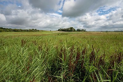 BUITEN BEELD Foto: 340802