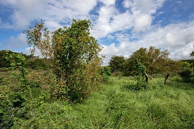 BUITEN BEELD Foto: 340804