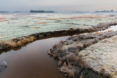 BUITEN BEELD Foto: 340898