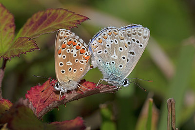 BUITEN BEELD Foto: 341291