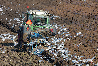 BUITEN BEELD Foto: 341350