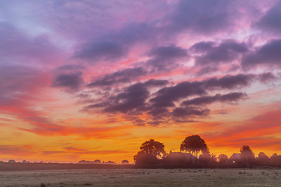 BUITEN BEELD Foto: 341407