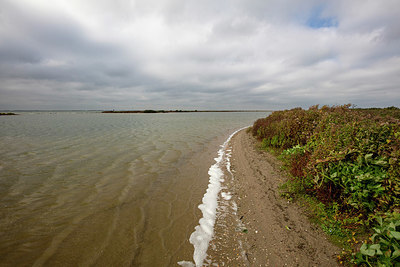 BUITEN BEELD Foto: 341443