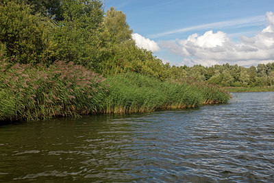 BUITEN BEELD Foto: 341445