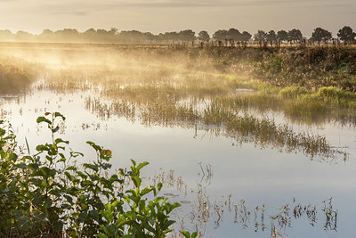 BUITEN BEELD Foto: 341476