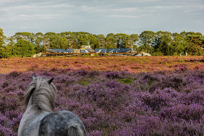 BUITEN BEELD Foto: 341522