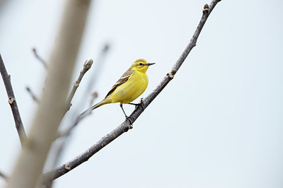 BUITEN BEELD Foto: 341557