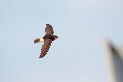 BUITEN BEELD Foto: 341589