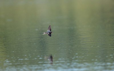BUITEN BEELD Foto: 341665