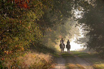 BUITEN BEELD Foto: 341687