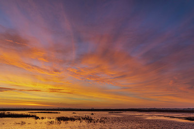 BUITEN BEELD Foto: 341747