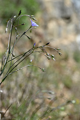 BUITEN BEELD Foto: 341814