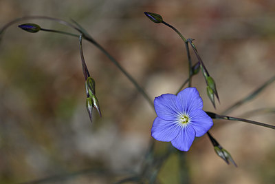 BUITEN BEELD Foto: 341815