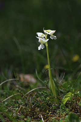 BUITEN BEELD Foto: 341832