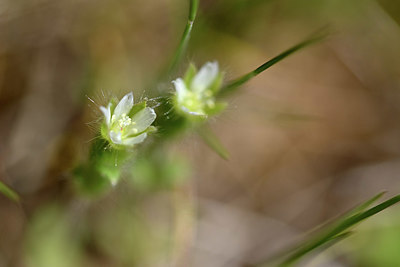 BUITEN BEELD Foto: 341837
