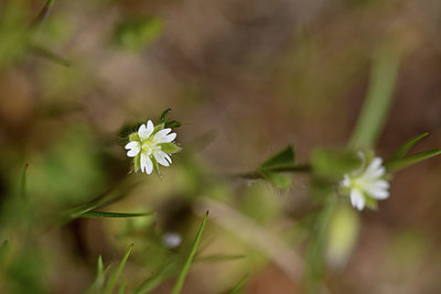 BUITEN BEELD Foto: 341839