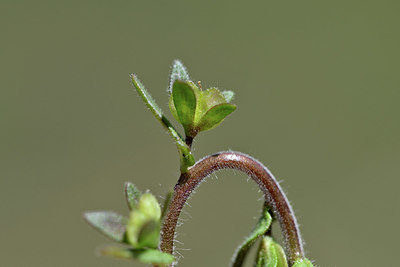 BUITEN BEELD Foto: 341860