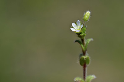 BUITEN BEELD Foto: 341861