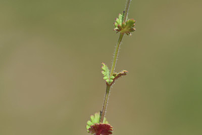 BUITEN BEELD Foto: 341874
