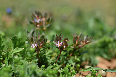 BUITEN BEELD Foto: 341879