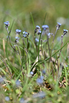 BUITEN BEELD Foto: 341894