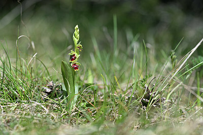 BUITEN BEELD Foto: 341898