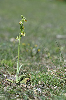 BUITEN BEELD Foto: 341900