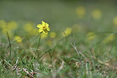 BUITEN BEELD Foto: 341901