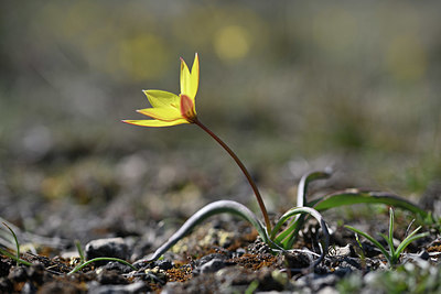 BUITEN BEELD Foto: 341917