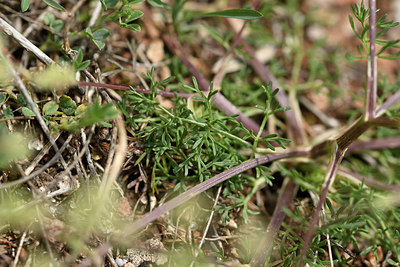 BUITEN BEELD Foto: 342001