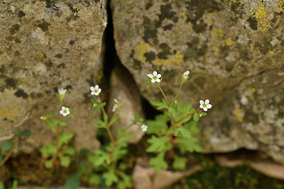 BUITEN BEELD Foto: 342009