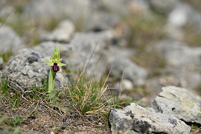 BUITEN BEELD Foto: 342049