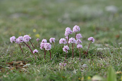 BUITEN BEELD Foto: 342053