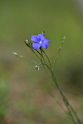 BUITEN BEELD Foto: 342059