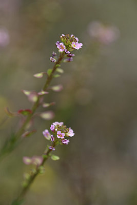 BUITEN BEELD Foto: 342060