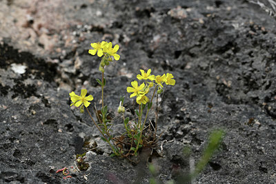 BUITEN BEELD Foto: 342063