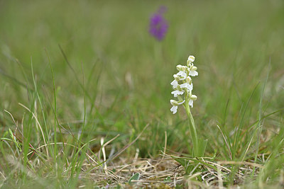BUITEN BEELD Foto: 342069