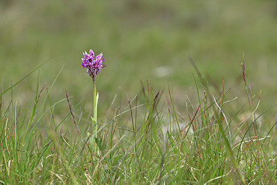 BUITEN BEELD Foto: 342070
