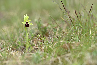 BUITEN BEELD Foto: 342074