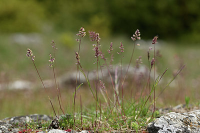 BUITEN BEELD Foto: 342078