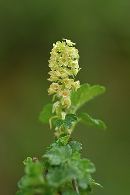 BUITEN BEELD Foto: 342130