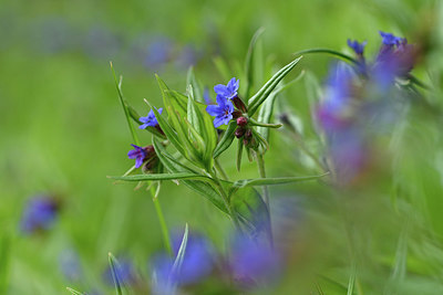 BUITEN BEELD Foto: 342152