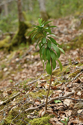 BUITEN BEELD Foto: 342168