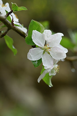 BUITEN BEELD Foto: 342194