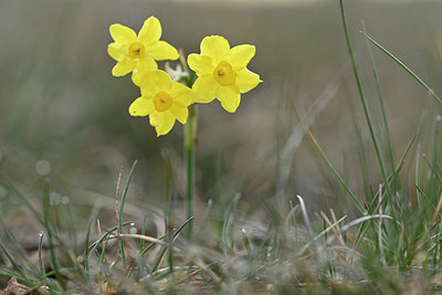 BUITEN BEELD Foto: 342201
