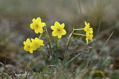 BUITEN BEELD Foto: 342203